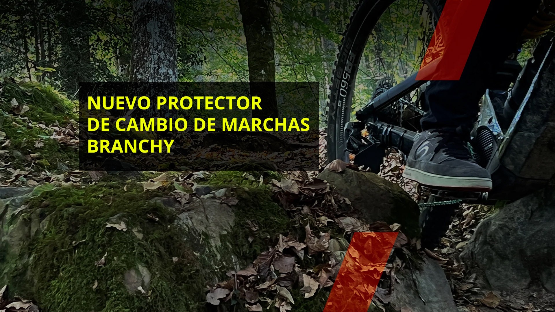 BRANCHY Nueva protección para cambio de marchas trasero de bicicletas eléctricas y convencionales